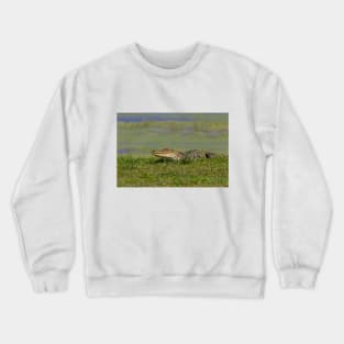 See ya later alligator Crewneck Sweatshirt